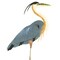 Blue Heron Wall Stencil | 1249 by Designer Stencils | Animal & Nature Stencils | Reusable Art Craft Stencils for Painting on Walls, Canvas, Wood | Reusable Plastic Paint Stencil for Home Makeover | Easy to Use & Clean Art Stencil